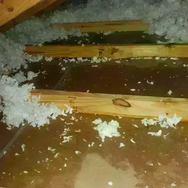 Attic Water Damage in Wescosville, PA